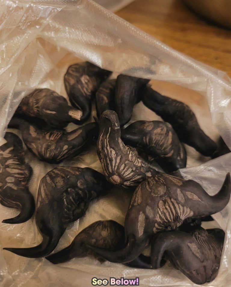 My Neighbor Gave Me a Bag of These – Reicpes